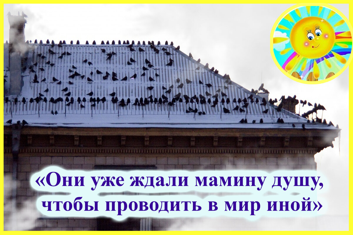 Вороны - это проводники душ, только что покинувших тело? Жизнь после смерти  есть | Ласковое солнышко - жизнь после есть | Дзен