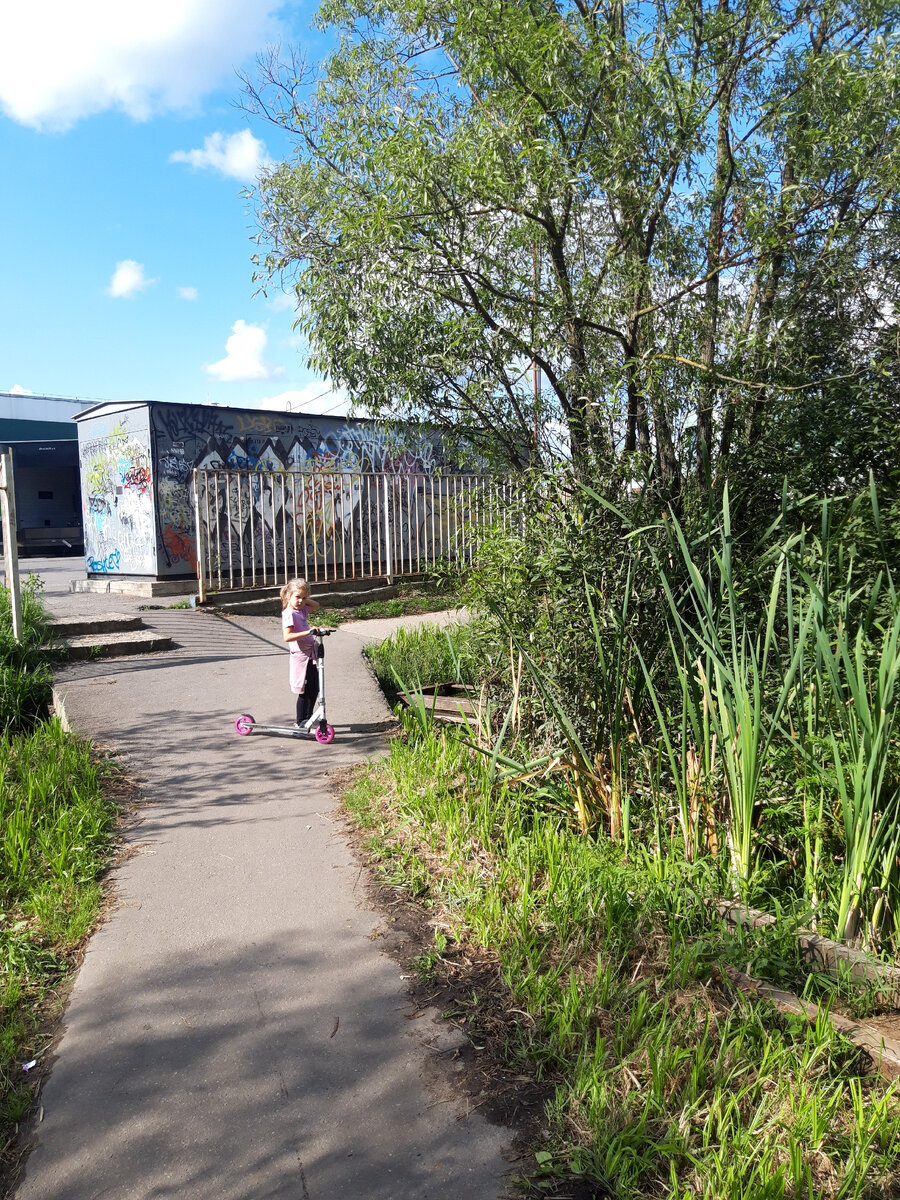 Болото. Да, у нас так, прям посреди города))