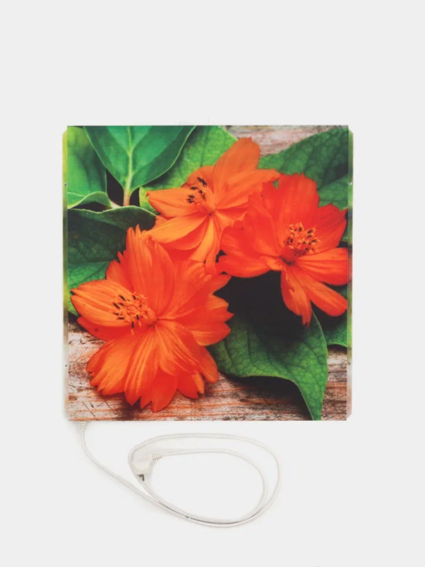 Добавьте описание