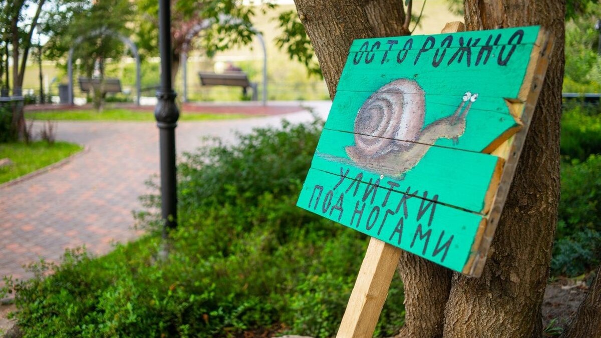     Предупреждающая табличка «Осторожно, улитки под ногами» появилась на Почаинском бульваре в Нижнем Новгороде. Об этом говорится в Telegram-канале «Знакомьтесь, Нижний».