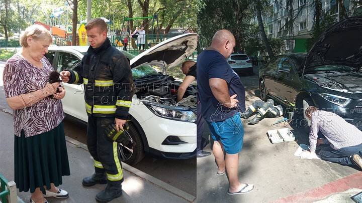  Фото: Департамент ГОЧСиПБ