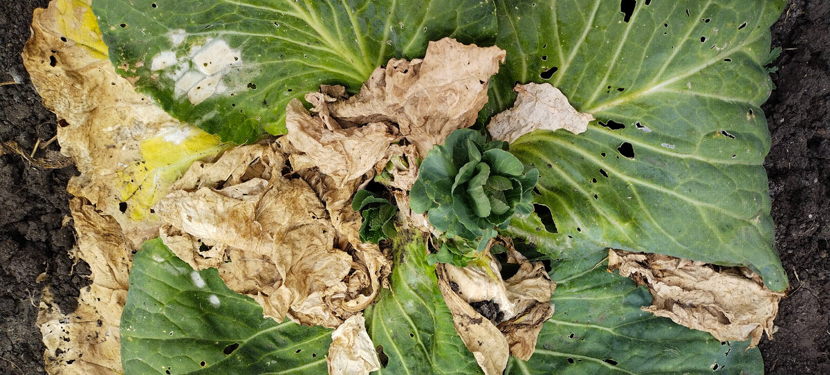 Фото автора канала