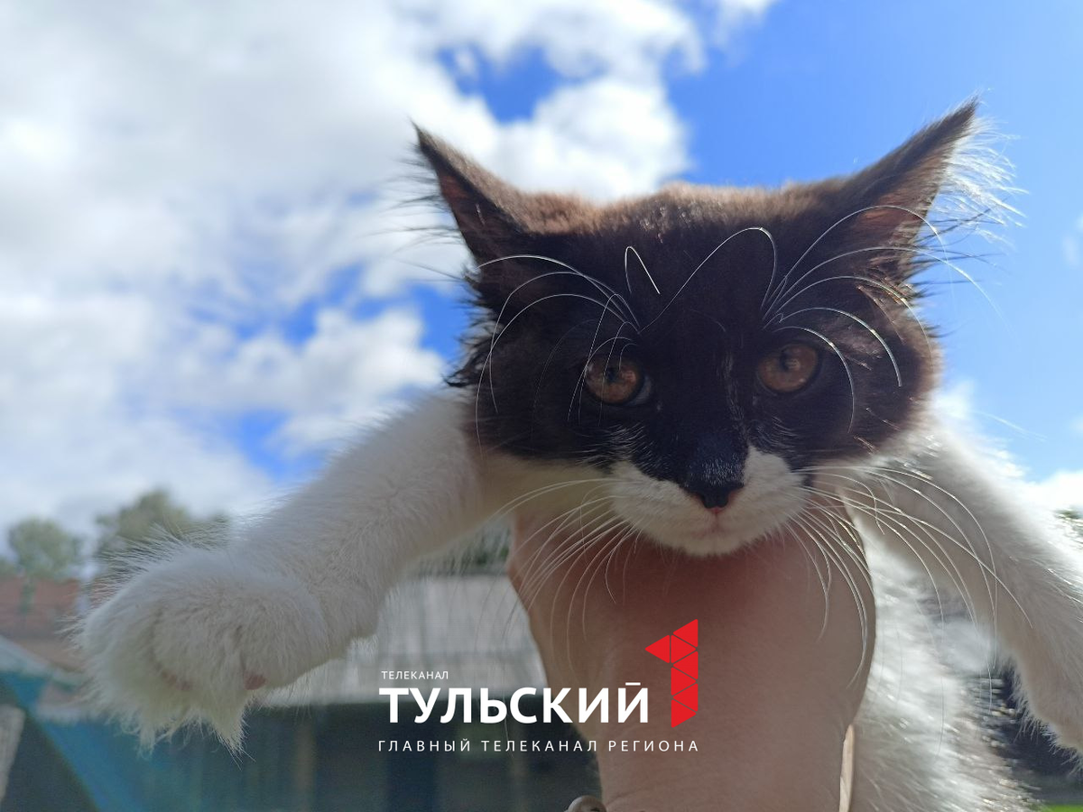 Малышка Тося