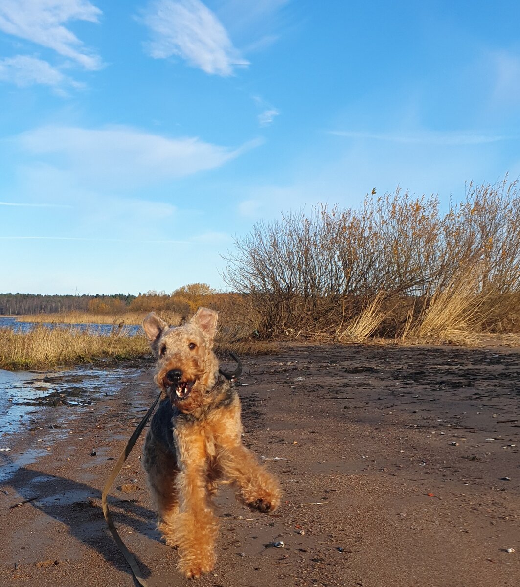 Мое лицо, когда переехал за город