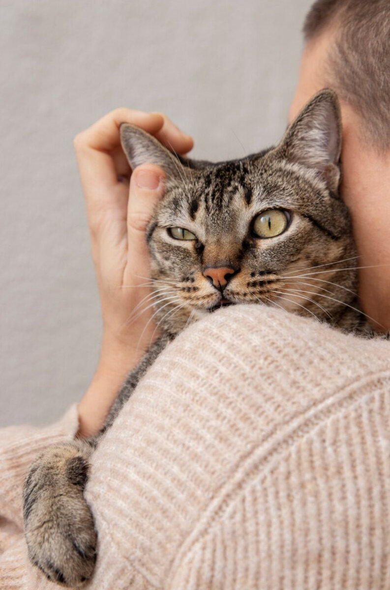 Коты могут проявлять привязанность и любовь к своим хозяевам и другим кошкам через различные способы, включая обнимание и прижимание. Вот несколько причин, почему коты могут любить обниматься:

 Социальное поведение: Коты - социальные животные, и они могут устанавливать близкие связи с другими котами и людьми. Обнимание может быть способом выразить привязанность и укрепить социальные связи.
 Тепло и комфорт: Коты могут искать тепло и комфорт в обнимании. Телесный контакт с хозяевами или другими кошками может помочь им чувствовать себя безопасно и уютно.