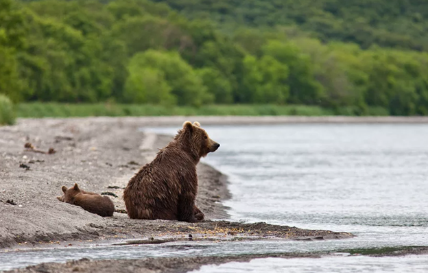 Так уж получается, что когда мы появляемся на свет, Бог каждого из нас наделяет каким-то даром. У Николая этот дар проявлялся в любви к животному, природе с самого раннего детства.-4