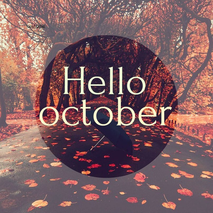 Хелло отзывы. Привет октябрь. Hello October. Hello октябрь. October надпись.