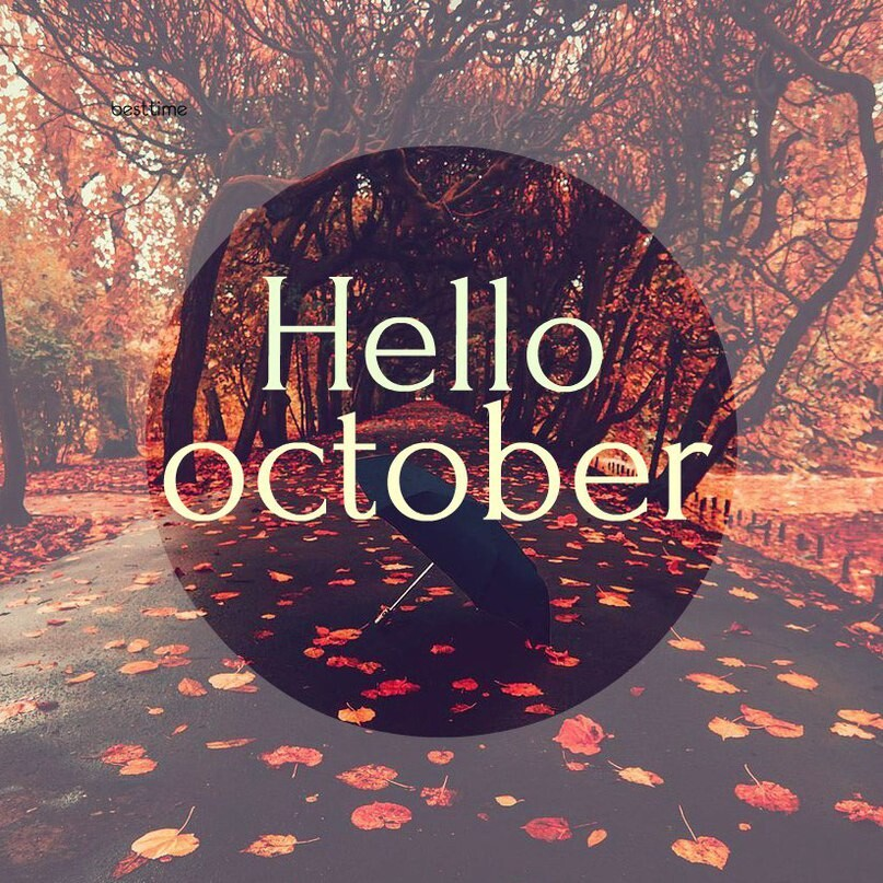 Привет октябрь. Hello October. Надпись hello October. Hello октябрь.