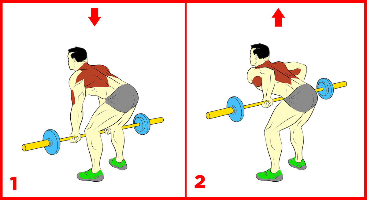 Упражнения для увеличения роста. Можно увеличить до 15. Как повысить успеваемость по русскому языку. Можно увеличить до 15. 10 кг мышечной массы до и после.