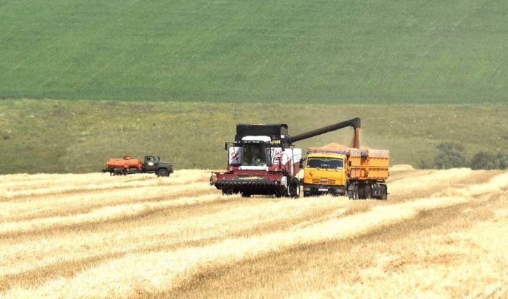    С 85 процентов убранных зерновых полей Башкортостана получено 2,8 млн тонн зерна