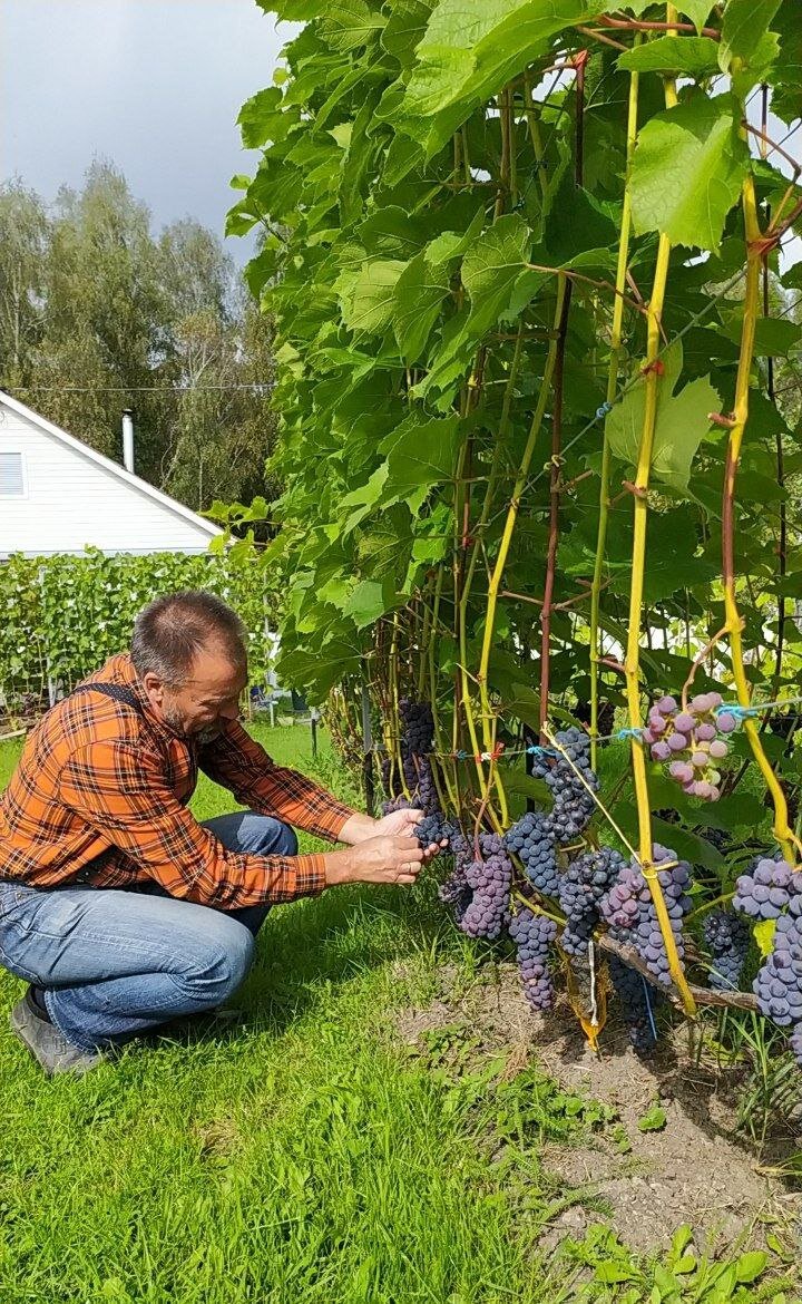 Так, как тут дела? Фото из семейного архива Ахметзяновых.