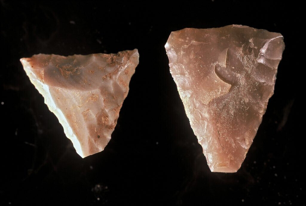 
Вряд ли где-либо еще в истории города пространство и время соединяются столь явно.

Немногие города этой страны имеют столь богатые традиции, как Дортмунд, город, который дважды за свою 1125-летнюю историю мог смело претендовать на общеевропейское признание:
В период расцвета правления Ганзейского союза и в период становления индустриализации, который впоследствии был назван "грюндерским периодом". Экономический и политический подъем города всегда обеспечивался самими горожанами, будь то в Средние века в виде странствующих на большие расстояния торговцев или ремесленников, а в конце XIX века в триаде "уголь, железо и пиво" в виде основателей предприятий и квалифицированных рабочих. Только тот, кто знает исторические корни города, может глубже понять его настоящее, может идентифицировать себя со своим городом.
Осмысление собственной истории так же необходимо для формирования будущего, как и осмысление настоящего.
История неделима. Прошлое Дортмунда - это и расцвет вольного имперского и ганзейского города, и история высокой индустриализации, но также и темные стороны, например, эпоха национал-социализма. Вряд ли где-либо еще в истории города пространство и время соединяются столь явным образом. Дортмунд, наш город, по-прежнему является местом формирования опыта, общения и идентификации для всех горожан.

Новый Дортмунд гордится старым Дортмундом!
5-е тысячелетие до н.э. - 800 г. н.э. Начало заселения
История Дортмунда

Зарождение поселений на территории современного города Дортмунд уходит далеко в бесписьменные времена доисторического периода. Вдоль реки Хелльвег (Hellweg) - от Рейна у Дуйсбурга через Дортмундскую область в Зёстер-Бёрде и далее на восток - проходит плодородный пояс лёсса с богатейшими почвами в Центральной Европе. Первые земледельцы появились в нашем регионе в эпоху неолита, поскольку плодородие почвы было для них решающим фактором выбора. Они выбирали благоприятные места для поселений в черте города, например, в Оеспеле. Свои дома (длиной до 40 м) они старались ориентировать на северо-запад - основное направление ветра - и располагали их тесно друг к другу.
Начиная с позднего бронзового века и далее (около 1000 г. до н.э.), появляется все больше археологических свидетельств об увеличении плотности поселения в районе Дортмунда. Многочисленные курганы, особенно вдоль Хелльвега, выстраивались вдоль важных транспортных магистралей. На протяжении многих веков курганы служили не только для ориентации в пространстве, но и как памятные места. Установлено, что последующие поколения и люди в эпоху позднего железного века, римского императорского периода и раннего средневековья использовали курганы для погребения.
В последние предхристианские века, в железном веке, все более заметными становятся надрегиональные влияния и контакты. В поселениях эпохи железного века можно найти остатки кельтских стеклянных перстней и кельтских монет, а также германскую керамику. На севере Дортмунда с его более песчаными почвами, например, в Гревеле и Ланстропе, люди строили большие вытянутые дома, хлева, в которых под одной крышей жили люди и животные, как это было принято в то время на северо-западе Центральной Европы. Однако на Хелльвеге, как и в Рейнланде, люди жили в небольших постройках, а домашний скот, очевидно, располагался в отдельных зданиях на территории фермы только в периоды непогоды.


В так называемый имперский период первых веков после Рождества Христова в германских поселениях и местах захоронений вдоль реки Хелльвег накапливались археологические находки римской утвари, предметов военного и культового назначения. Одно из самых известных свидетельств этого периода происходит из Дортмунда: золотой клад V века, обнаруженный недалеко от современного Старого города, прямо на Хелльвеге. 444 золотые монеты, 16 серебряных монет и три золотых чокера сегодня рассматриваются как плата в виде субсидий, денег на поддержку "варварских" вождей - так называли средства римской внешней политики. Клады часто находили в особых местах, вдали от поселений. Так они меньше подвергались опасности быть обнаруженными во время рутинной работы, но зато в этом случае их было легко обнаружить и запомнить место клада из-за близости к дороге.


В нескольких местах городской округи из германских общин, очевидно, сформировалась местная элита. Как в современном центре города в районе современного Графенхофа, так и в Ассельне и Виккеде были раскопаны части кладбищ с богато экипированными людьми V-VII вв. Усопшие были снабжены стеклянными сосудами, изделиями из слоновой кости и драгоценных камней, золотыми и серебряными украшениями и погребены небольшими группами. Таким образом, при жизни они имели обширные экономические связи и открыто выделялись своими ценными предметами. Какое отношение эти люди имели к деревням, зафиксированным в письменных источниках с конца IX в. - "Тротманни" (Дортмунд) и "Асклун" (Ассельн) - непосредственно на территории Хелльвега, пока не выяснено. Но, как минимум, для Дортмунда очевидно, что одно из начал старого города зародилось в Графенхофе благодаря найденным там захоронениям поздней античности и раннего средневековья и наличию собственной кирхи (Мартинскапелле), которая, вероятно, стала частью поселенческой и правильной структуры докаролингского История Дортмунда:
Вряд ли где-либо еще в истории города пространство и время соединяются столь явно.

Немногие города этой страны имеют столь богатые традиции, как Дортмунд, город, который дважды за свою 1125-летнюю историю мог смело претендовать на общеевропейское признание:
В период расцвета правления Ганзейского союза и в период становления индустриализации, который впоследствии был назван "грюндерским периодом". Экономический и политический подъем города всегда обеспечивался самими горожанами, будь то в Средние века в виде странствующих на большие расстояния торговцев или ремесленников, а в конце XIX века в триаде "уголь, железо и пиво" в виде основателей предприятий и квалифицированных рабочих. Только тот, кто знает исторические корни города, может глубже понять его настоящее, может идентифицировать себя со своим городом.
Осмысление собственной истории так же необходимо для формирования будущего, как и осмысление настоящего.
История неделима. Прошлое Дортмунда - это и расцвет вольного имперского и ганзейского города, и история высокой индустриализации, но также и темные стороны, например, эпоха национал-социализма. Вряд ли где-либо еще в истории города пространство и время соединяются столь явным образом. Дортмунд, наш город, по-прежнему является местом формирования опыта, общения и идентификации для всех горожан.

Новый Дортмунд гордится старым Дортмундом!
5-е тысячелетие до н.э. - 800 г. н.э. Начало заселения
История Дортмунда

Зарождение поселений на территории современного города Дортмунд уходит далеко в бесписьменные времена доисторического периода. Вдоль реки Хелльвег (Hellweg) - от Рейна у Дуйсбурга через Дортмундскую область в Зёстер-Бёрде и далее на восток - проходит плодородный пояс лёсса с богатейшими почвами в Центральной Европе. Первые земледельцы появились в нашем регионе в эпоху неолита, поскольку плодородие почвы было для них решающим фактором выбора. Они выбирали благоприятные места для поселений в черте города, например, в Оеспеле. Свои дома (длиной до 40 м) они старались ориентировать на северо-запад - основное направление ветра - и располагали их тесно друг к другу.
Начиная с позднего бронзового века и далее (около 1000 г. до н.э.), появляется все больше археологических свидетельств об увеличении плотности поселения в районе Дортмунда. Многочисленные курганы, особенно вдоль Хелльвега, выстраивались вдоль важных транспортных магистралей. На протяжении многих веков курганы служили не только для ориентации в пространстве, но и как памятные места. Установлено, что последующие поколения и люди в эпоху позднего железного века, римского императорского периода и раннего средневековья использовали курганы для погребения.
В последние предхристианские века, в железном веке, все более заметными становятся надрегиональные влияния и контакты. В поселениях эпохи железного века можно найти остатки кельтских стеклянных перстней и кельтских монет, а также германскую керамику. На севере Дортмунда с его более песчаными почвами, например, в Гревеле и Ланстропе, люди строили большие вытянутые дома, хлева, в которых под одной крышей жили люди и животные, как это было принято в то время на северо-западе Центральной Европы. Однако на Хелльвеге, как и в Рейнланде, люди жили в небольших постройках, а домашний скот, очевидно, располагался в отдельных зданиях на территории фермы только в периоды непогоды.


В так называемый имперский период первых веков после Рождества Христова в германских поселениях и местах захоронений вдоль реки Хелльвег накапливались археологические находки римской утвари, предметов военного и культового назначения. Одно из самых известных свидетельств этого периода происходит из Дортмунда: золотой клад V века, обнаруженный недалеко от современного Старого города, прямо на Хелльвеге. 444 золотые монеты, 16 серебряных монет и три золотых чокера сегодня рассматриваются как плата в виде субсидий, денег на поддержку "варварских" вождей - так называли средства римской внешней политики. Клады часто находили в особых местах, вдали от поселений. Так они меньше подвергались опасности быть обнаруженными во время рутинной работы, но зато в этом случае их было легко обнаружить и запомнить место клада из-за близости к дороге.


В нескольких местах городской округи из германских общин, очевидно, сформировалась местная элита. Как в современном центре города в районе современного Графенхофа, так и в Ассельне и Виккеде были раскопаны части кладбищ с богато экипированными людьми V-VII вв. Усопшие были снабжены стеклянными сосудами, изделиями из слоновой кости и драгоценных камней, золотыми и серебряными украшениями и погребены небольшими группами. Таким образом, при жизни они имели обширные экономические связи и открыто выделялись своими ценными предметами. Какое отношение эти люди имели к деревням, зафиксированным в письменных источниках с конца IX в. - "Тротманни" (Дортмунд) и "Асклун" (Ассельн) - непосредственно на территории Хелльвега, пока не выяснено. Но, как минимум, для Дортмунда очевидно, что одно из начал старого города зародилось в Графенхофе благодаря найденным там захоронениям поздней античности и раннего средневековья и наличию собственной кирхи (Мартинскапелле), которая, вероятно, стала частью поселенческой и правильной структу  ры докаролингского периода.