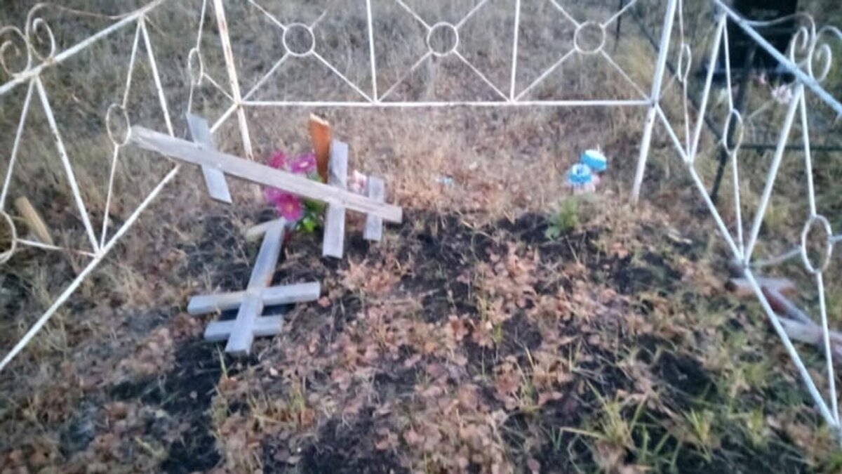 фото взято из открытого доступа сети интернет на Яндекс картинки