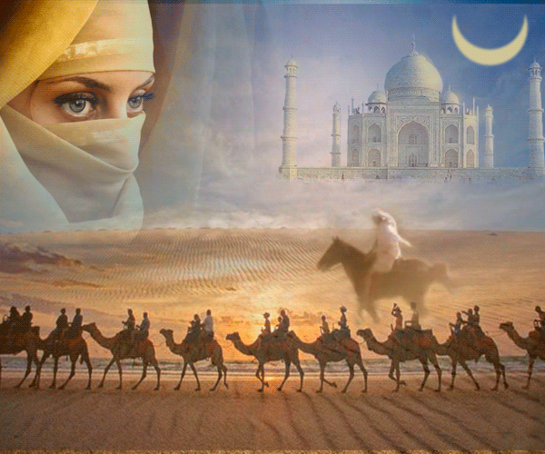 Из открытых источников.