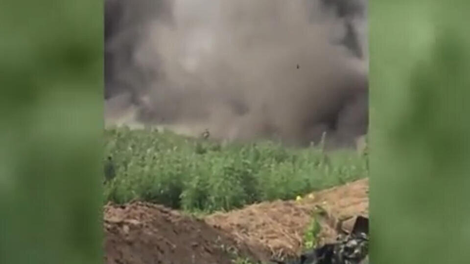 Фото: © Скриншот видео