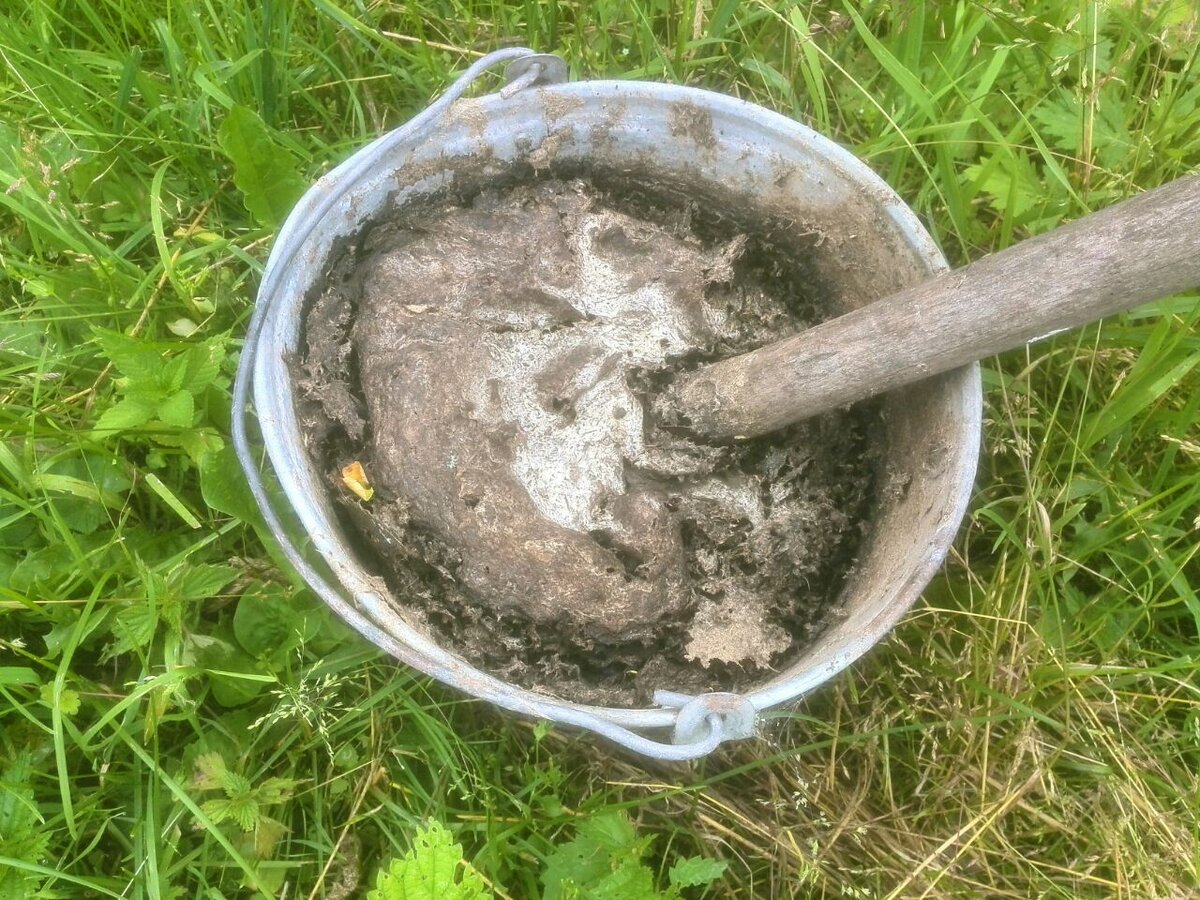 Можно ли подкармливать коровяком. Помидоры на коровяке. Можно ли подкармливать коровяком. Раствор куриного помета. Можно ли подкармливать коровяком.