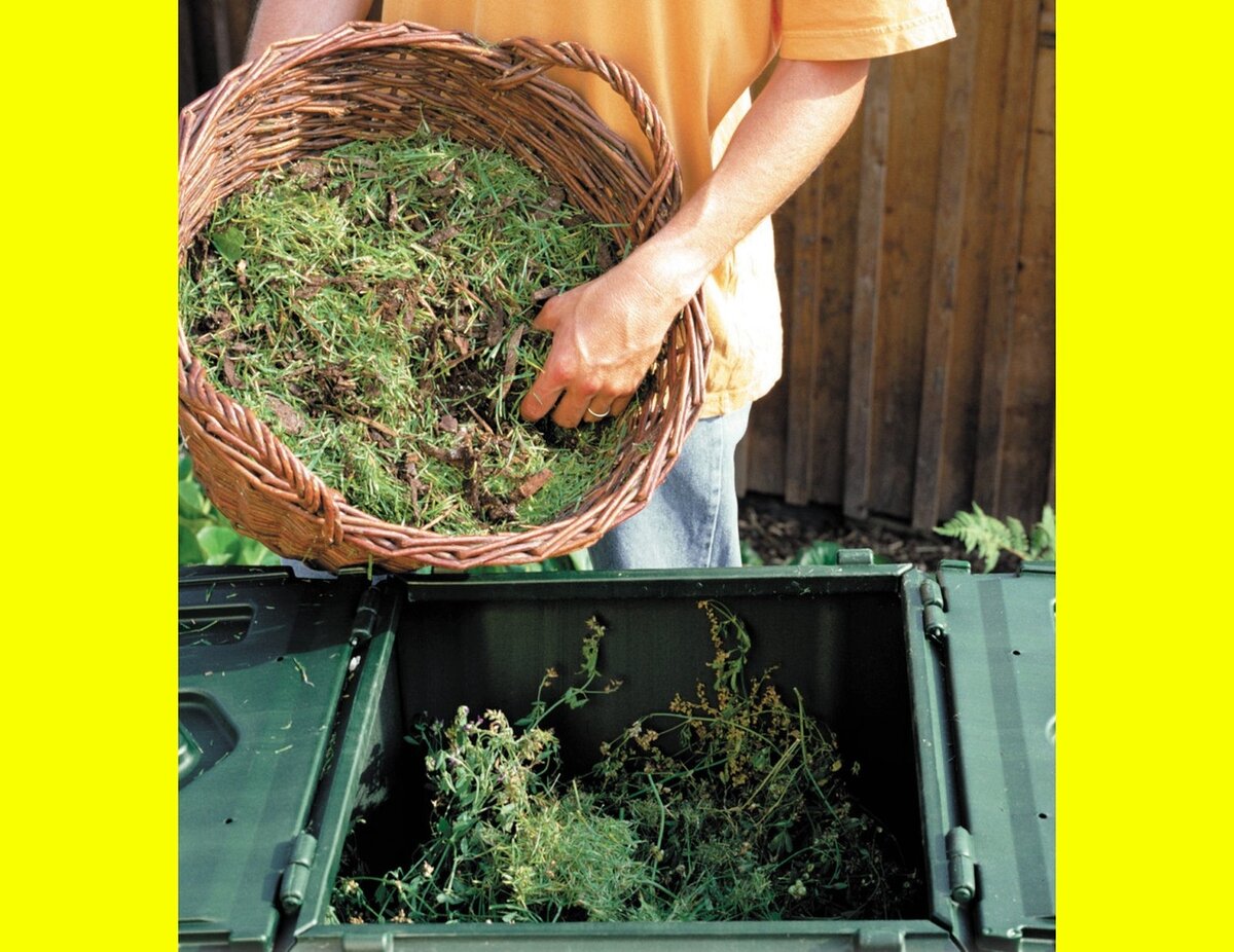 Фото взято с яндекс картинок с целью иллюстрации