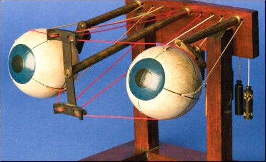 Это прибор, наглядно демонстрирующий движения глаза и структуру всей зрительной системы человека