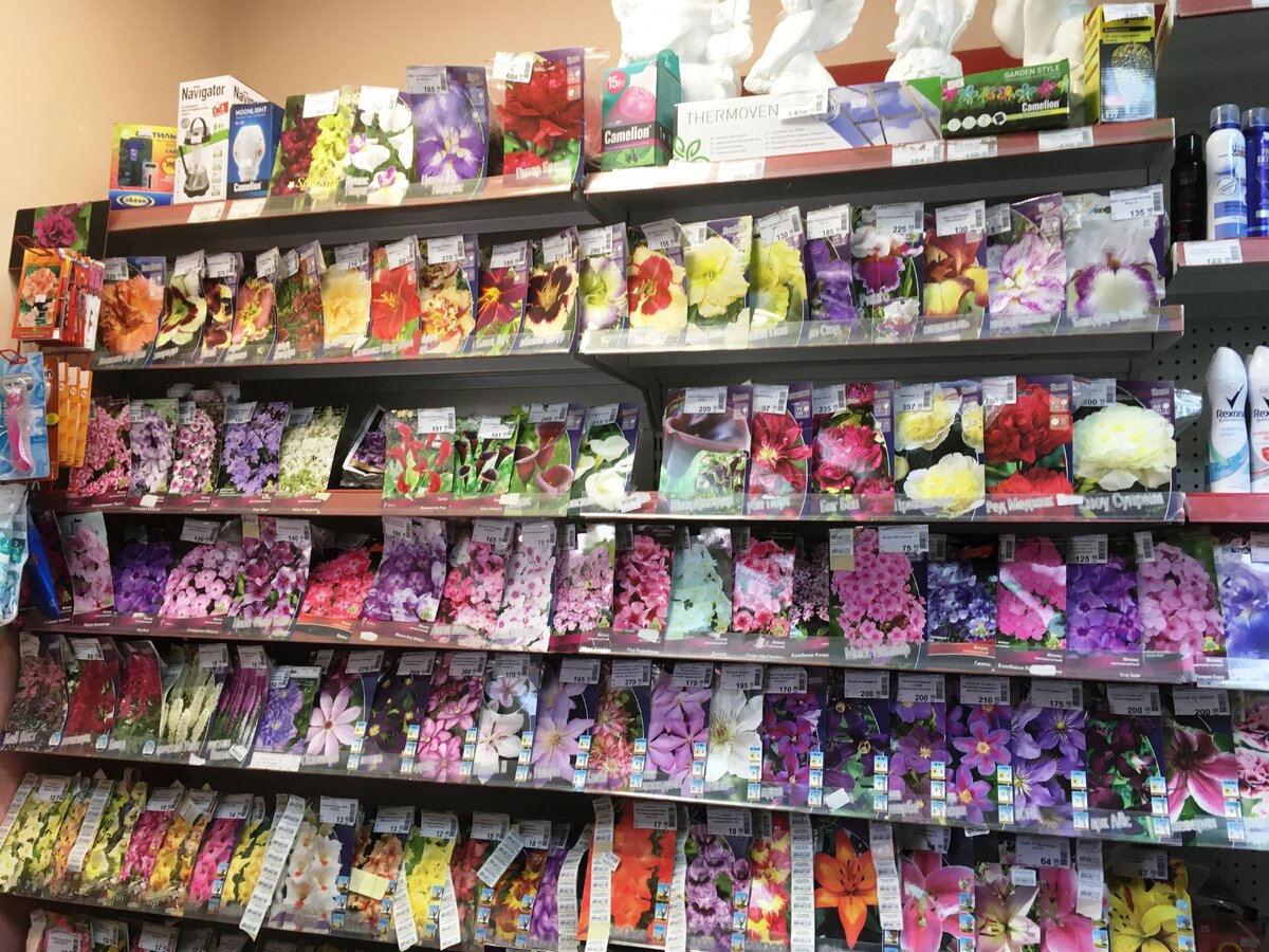  4 апреля в цветочном магазине