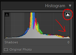 Рекомендую включить то, что выделено кружком. Полезная функция видит пересветы. Если гистограмма сдвинута вправо, значит фото переэскпонировано.