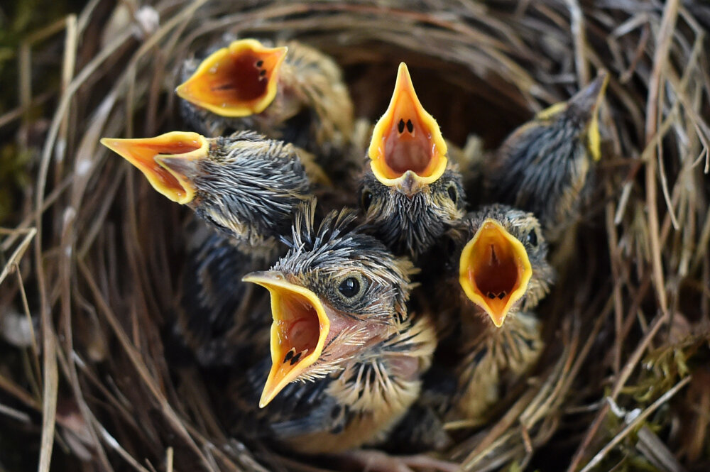 Фото Сергея Гапона для ПРООН в Беларуси