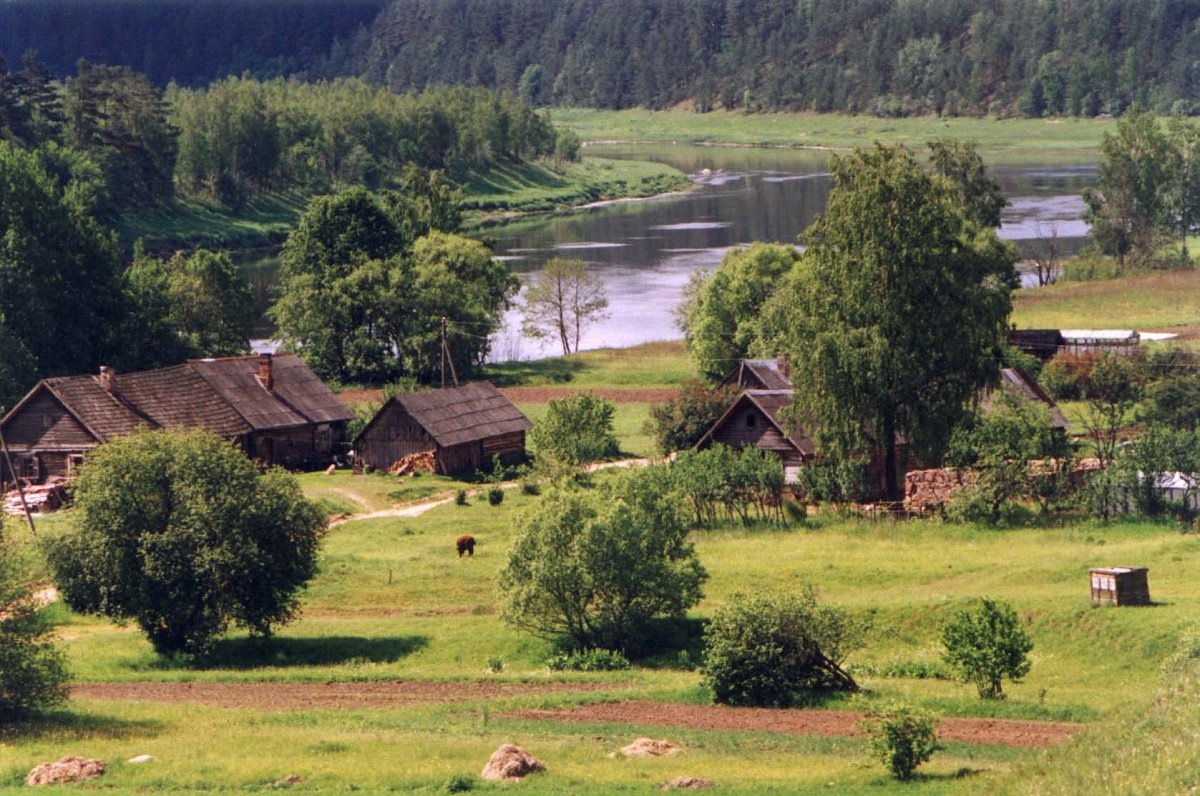 (все фото в свободном доступе в сети)