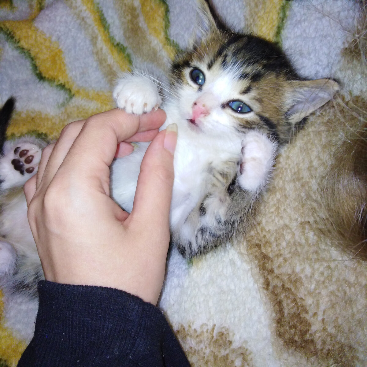 Тут Васечке уже 1 месяц