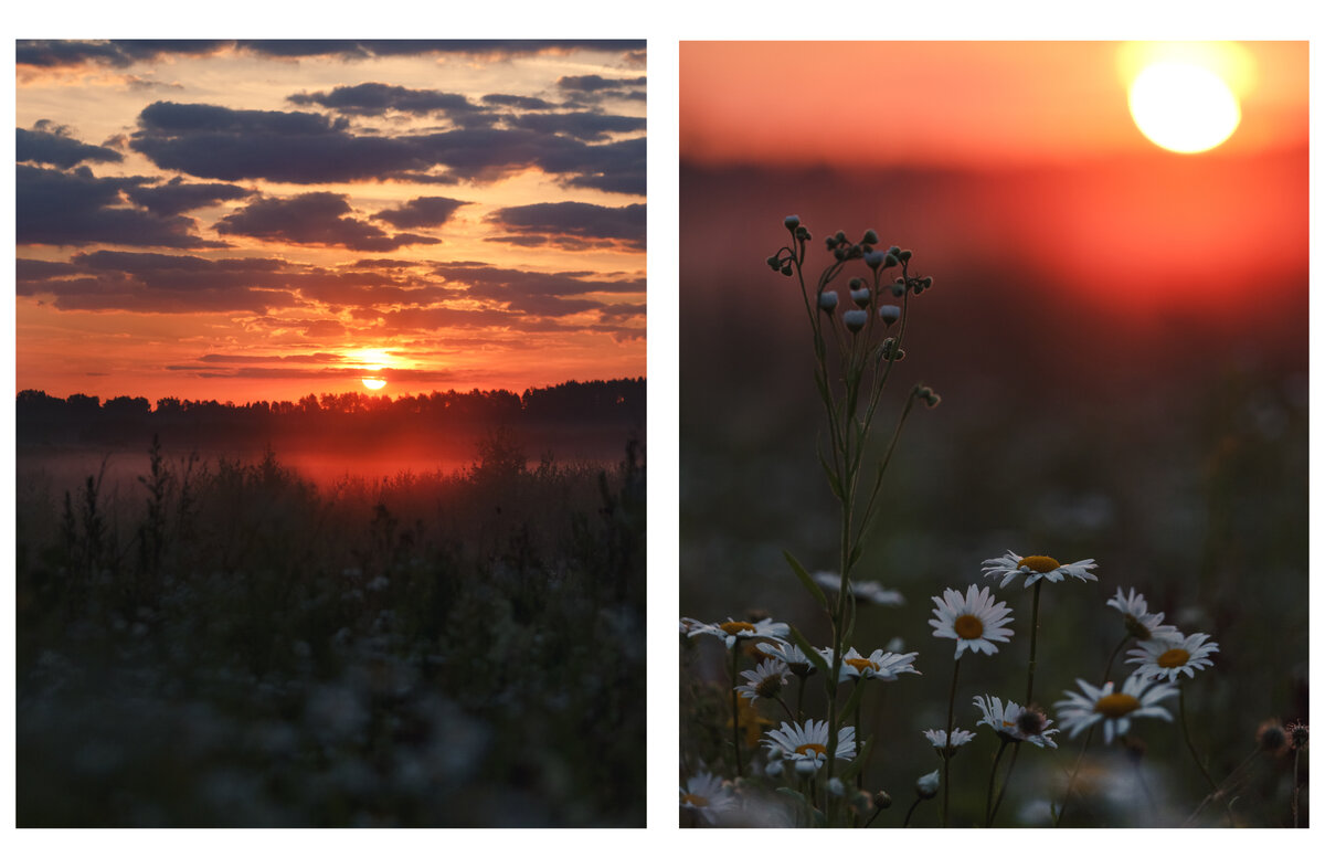 Рассвет в арт-парке "Никола-Ленивец", июнь 2018г