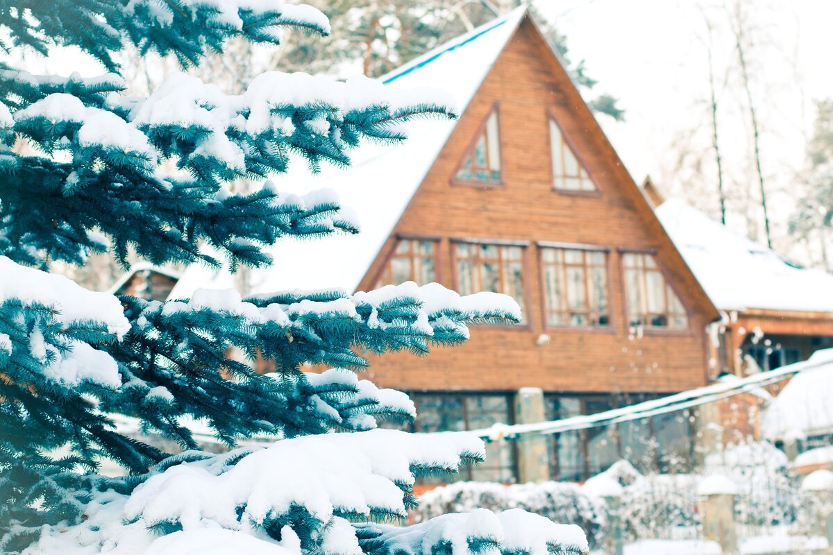 Image by Анастасия Гепп from pixabay.com