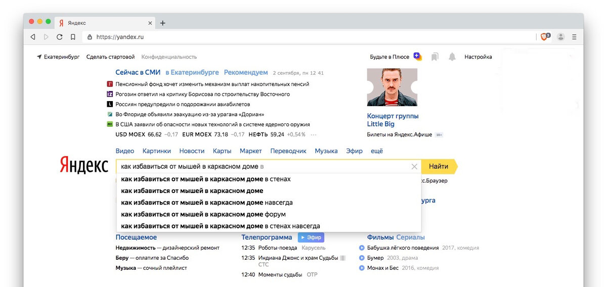 Как избавиться от мышей в каркасном доме в стенах навсегда