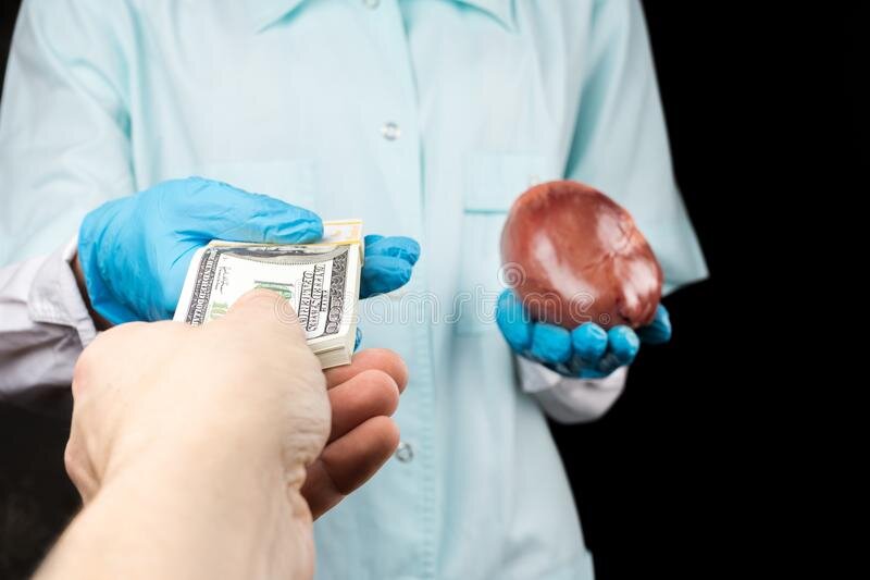 яндекс картинки