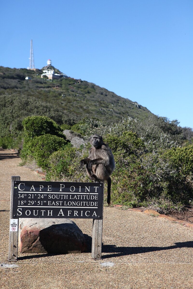 В парке подобные таблички установлены в нескольких местах. Чаще рядом с ними можно увидеть фотографирующихся туристов. 