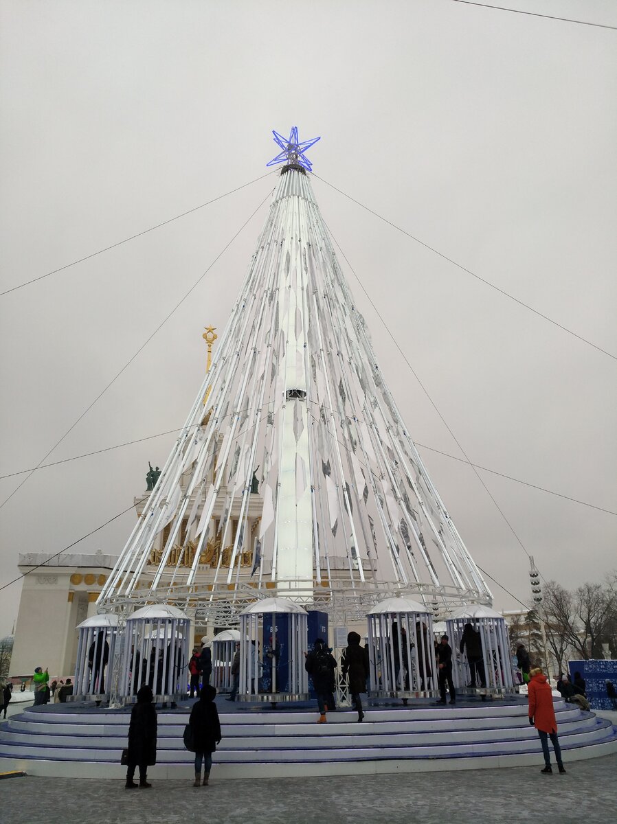 Фото автора.