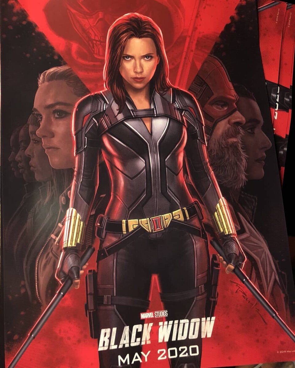 Наталья Альяновна "Наташа" Романофф, более известная как Чёрная вдова- одна из самых лучших шпионов и ассасинов в мире. Изначально работала агентом КГБ, позже стала членом Щ.И.Т.а, международного контрразведывательного управления. Имеющая огромное мастерство в боевых искусствах и вооруженная миниатюрным электрошоковым устройством, Чёрная вдова стала одним из самых талантливых агентов Щ.И.Т.а. 