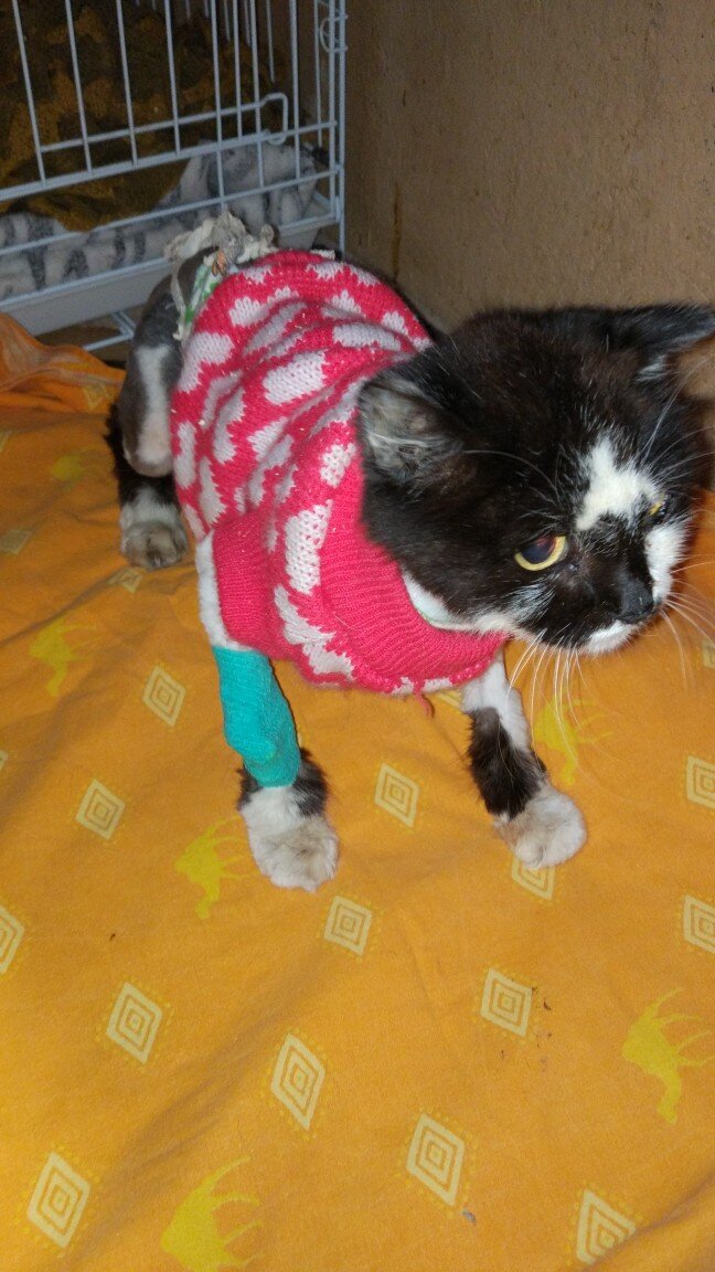 Фима после капельницы