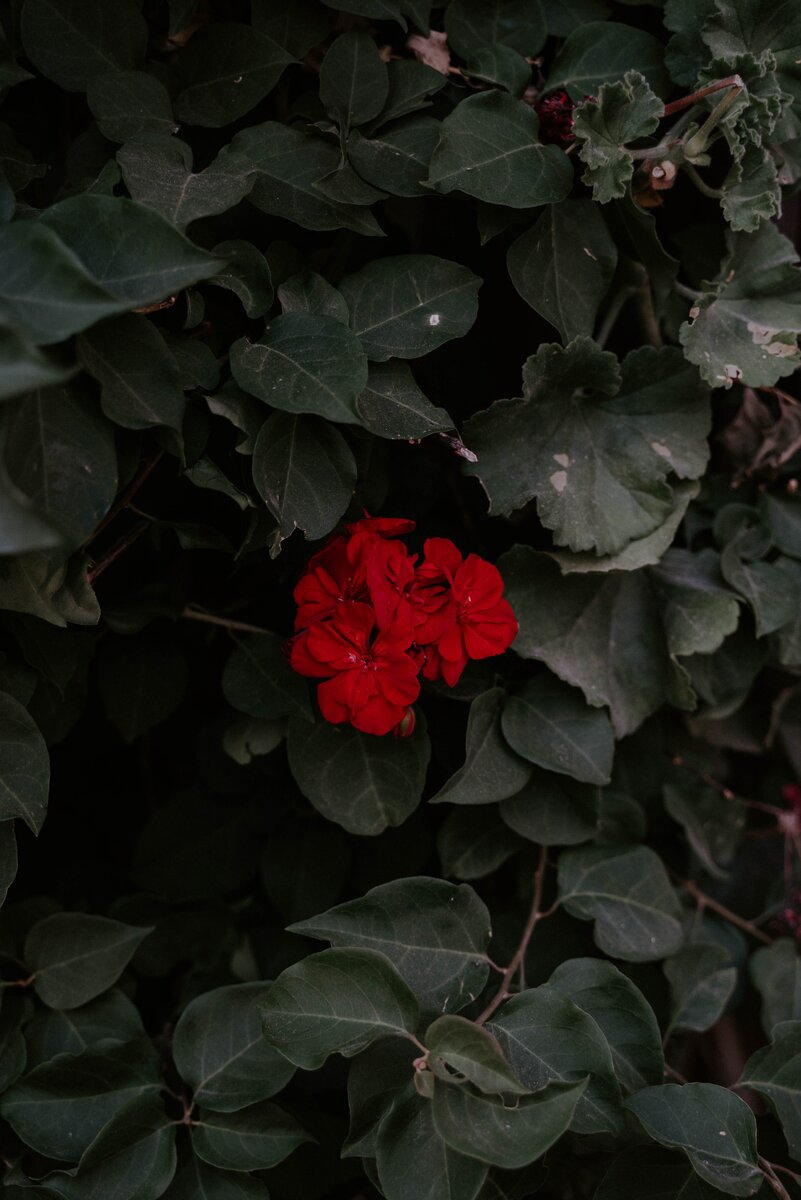 Photo by Alasdair Elmes on Unsplash