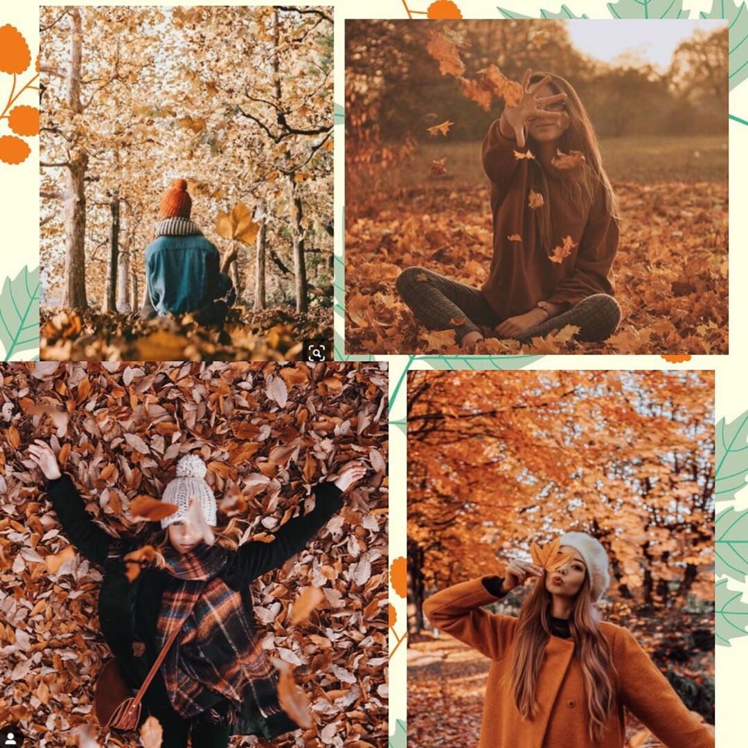 Фото из свободных источников
