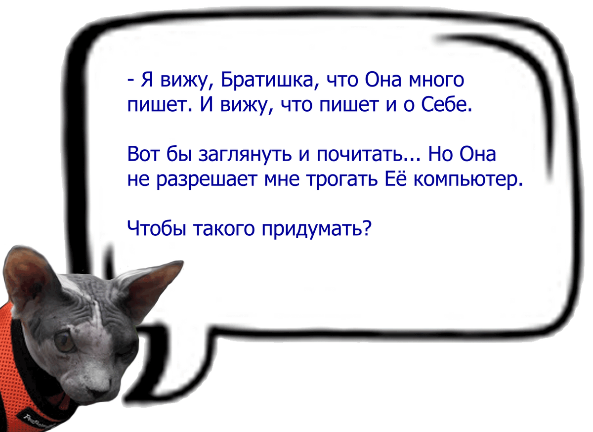 (Кошачьи диалоги)