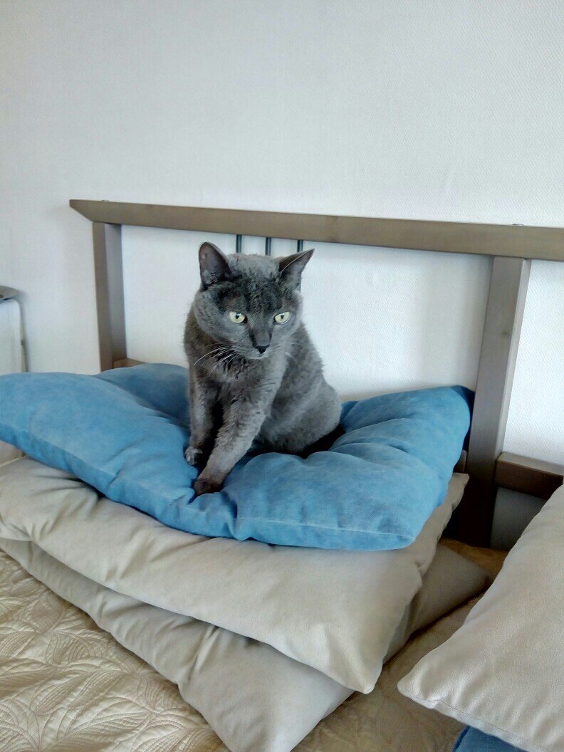 фото Елены Халдиной