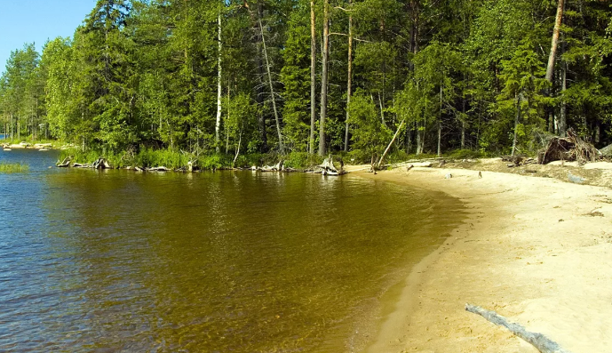 Фото из открытого источника