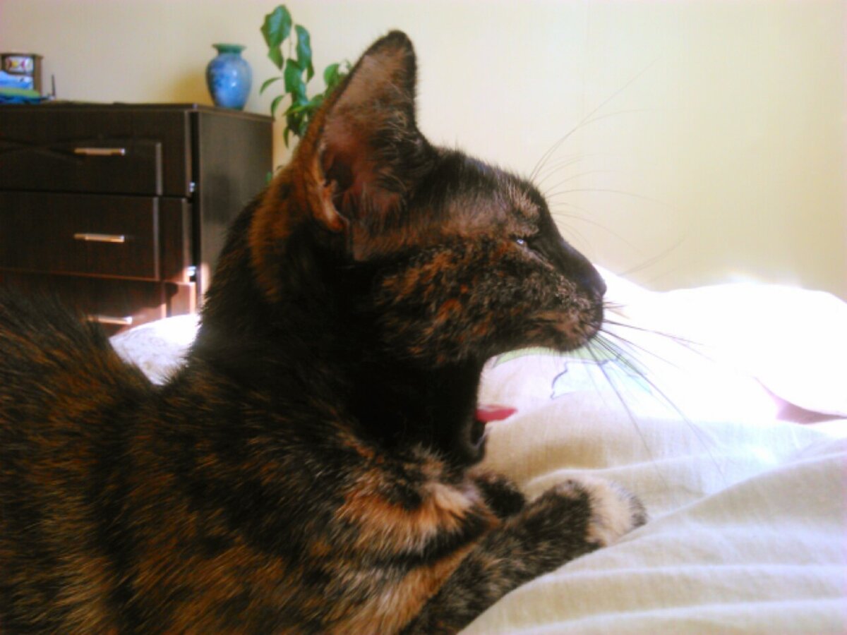 Считаем товарищи!!!