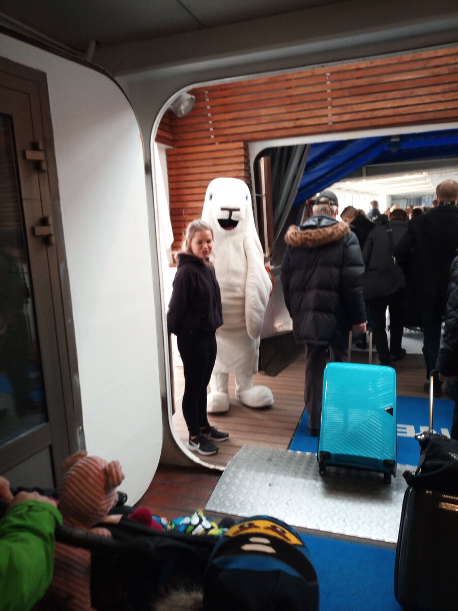 Морской котик, с ним фотографируются на память все желающие