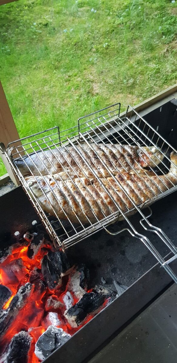 дорадо на гриле