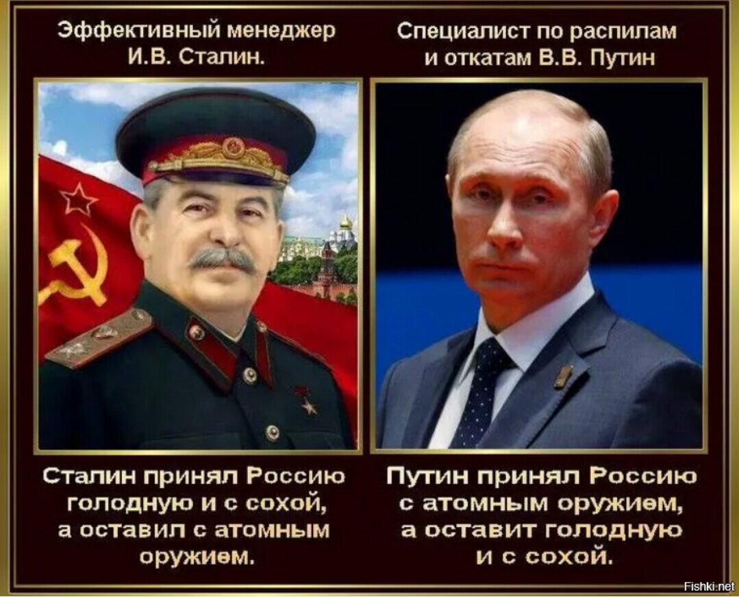 Фото с Яндекса 