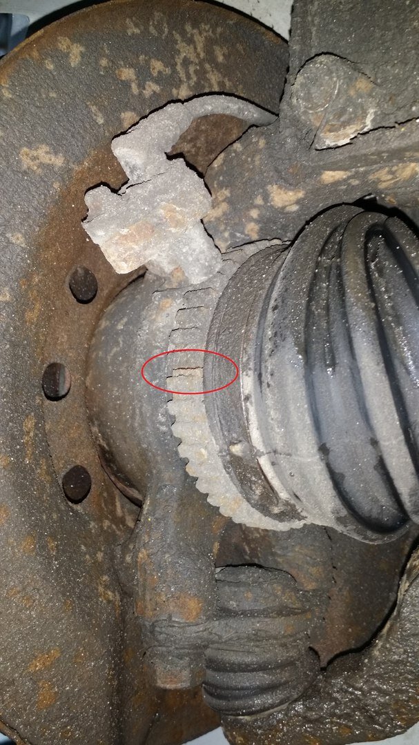 Фото взято из личного архива