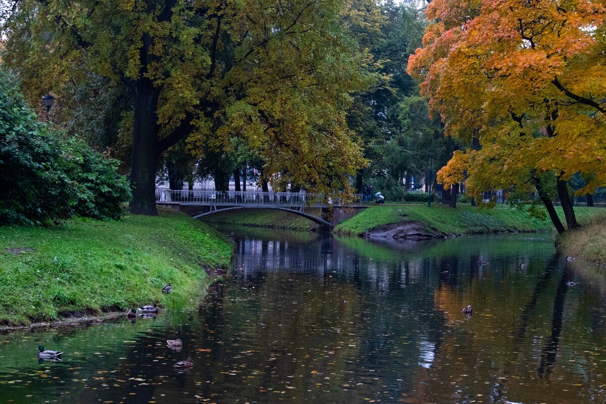 Таврический сад СПБ осень