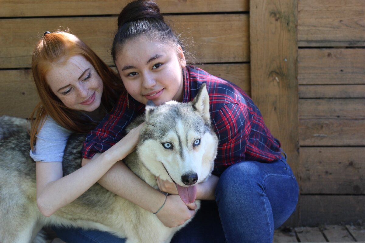 Питомник ездовых собак «Северный»