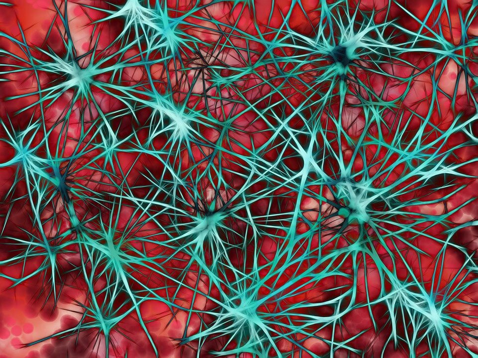 https://cdn.pixabay.com/photo/2019/03/12/19/30/nerves-4051659_960_720.jpg
