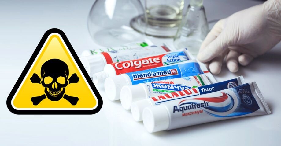 (фото с сайта choiz/me)