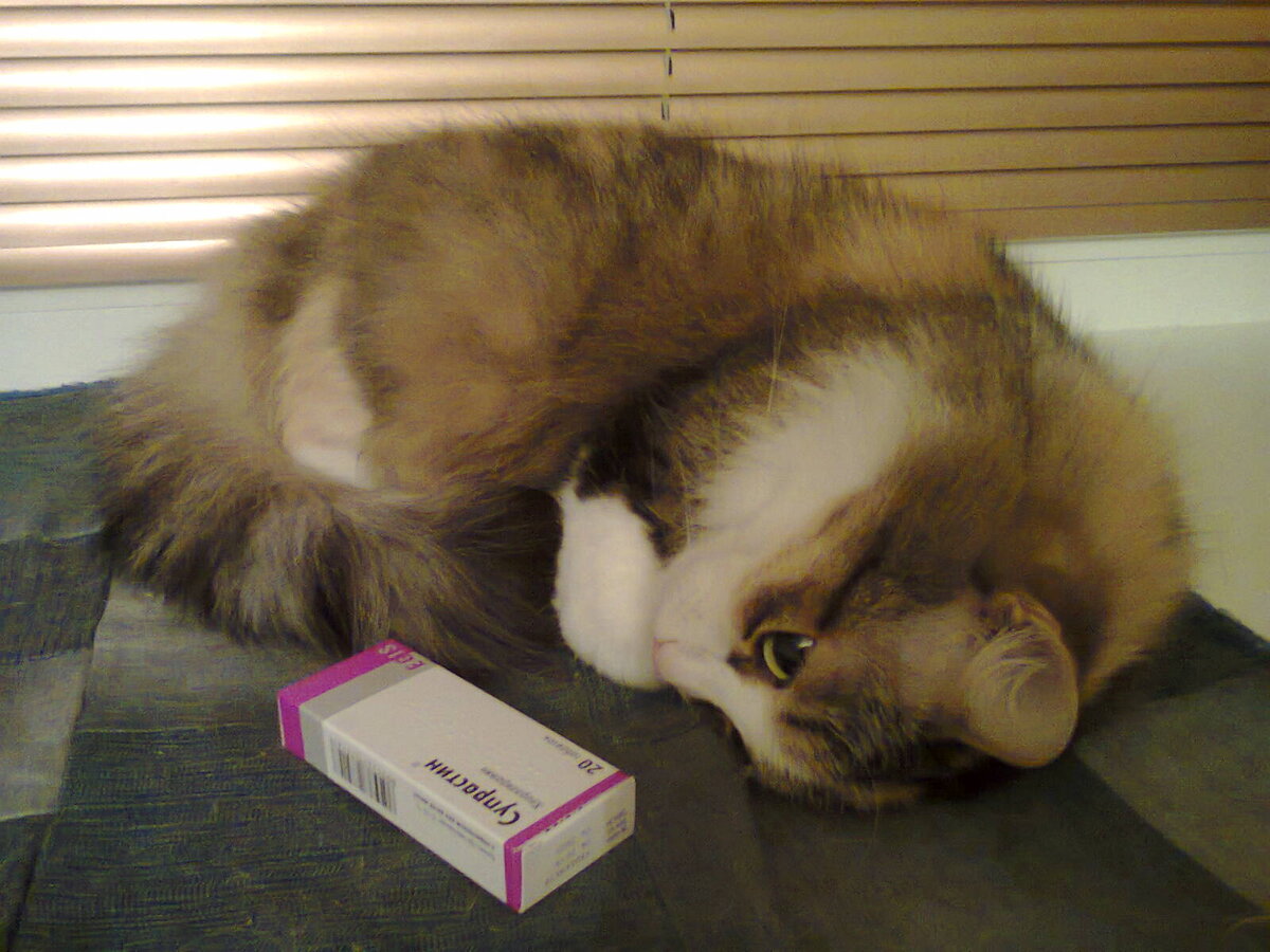 Фото из личного архива автора.